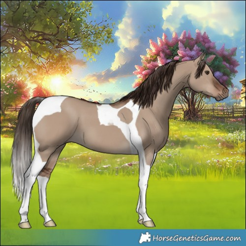 Horse Color:Liver Red Dun Tobiano 