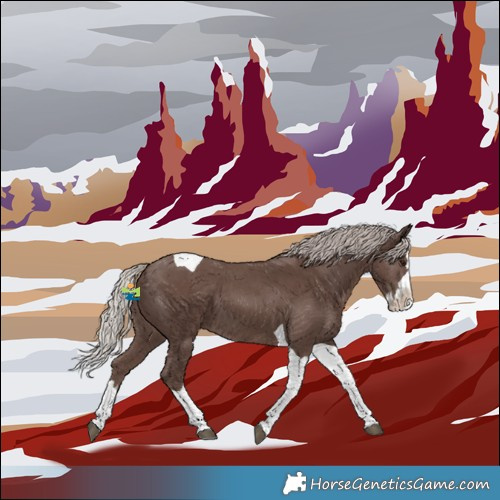 Horse Color:Silver Black Splash Tobiano 