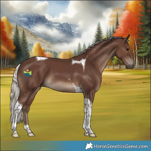 Horse Color:Silver Black Tobiano 