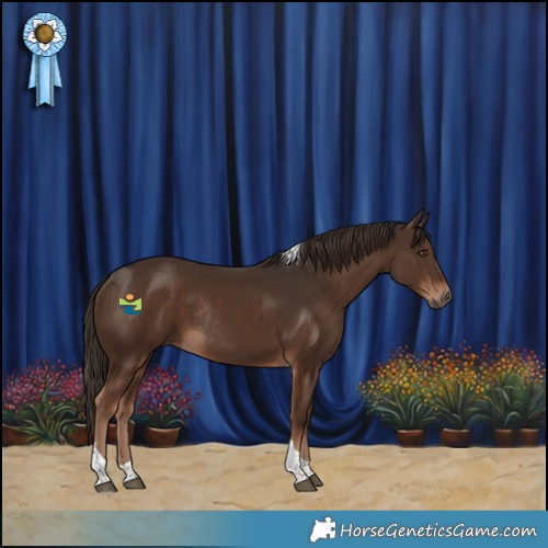 Horse Color:Liver Chestnut Tobiano Rabicano