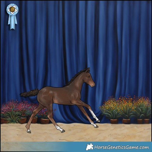 Horse Color:Liver Chestnut Tobiano Rabicano 