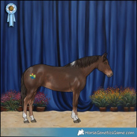 Horse Color:Liver Chestnut Tobiano Rabicano 