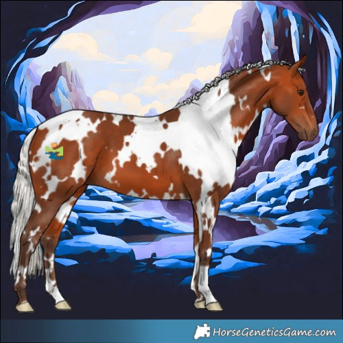 Horse Color:White Spotted Silver Bay 
