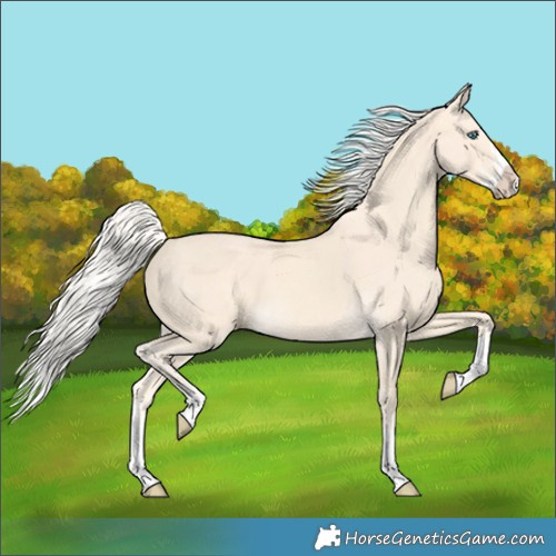 Horse Color:Cremello Splash  and Cremello Splash 