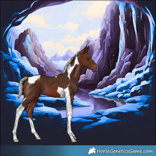 Horse Color:Silver Brown Tobiano