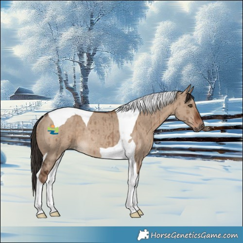 Horse Color:Liver Red Dun Tobiano Rabicano Brindle