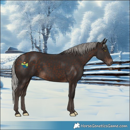 Horse Color:Silver Brown
