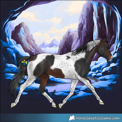 Horse Color:Brown Tobiano