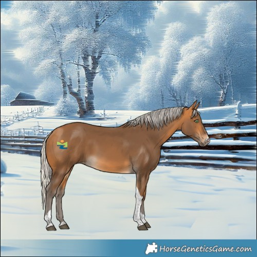 Horse Color:Silver Buckskin Sabino Tobiano