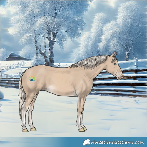 Horse Color:Cremello Tobiano