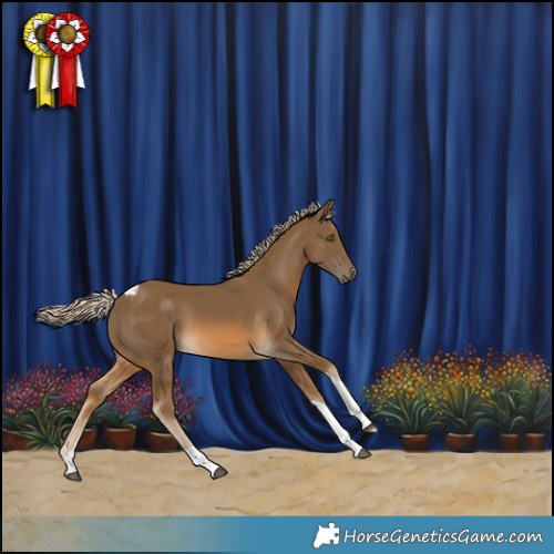 Horse Color:Chocolate Palomino Tobiano Rabicano