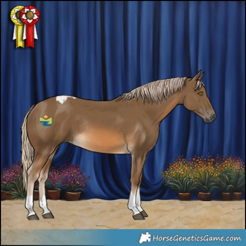 Horse Color:Chocolate Palomino Tobiano Rabicano 