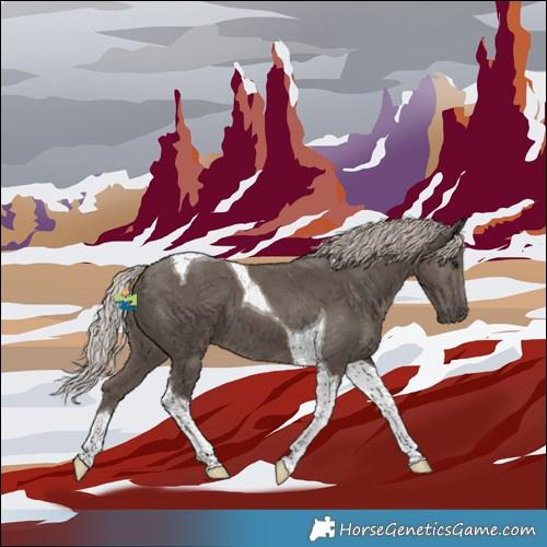 Horse Color:Silver Black Tobiano 