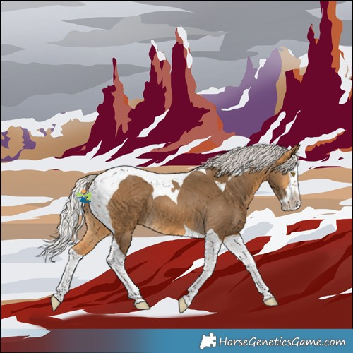 Horse Color:Silver Buckskin Splash Tobiano