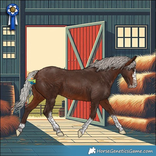 Horse Color:Silver Brown Splash Tobiano