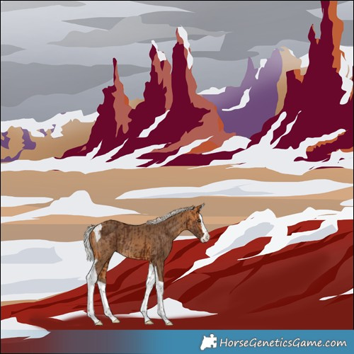 Horse Color:Silver Bay Splash Tobiano  and Silver Buckskin Splash Tobiano 