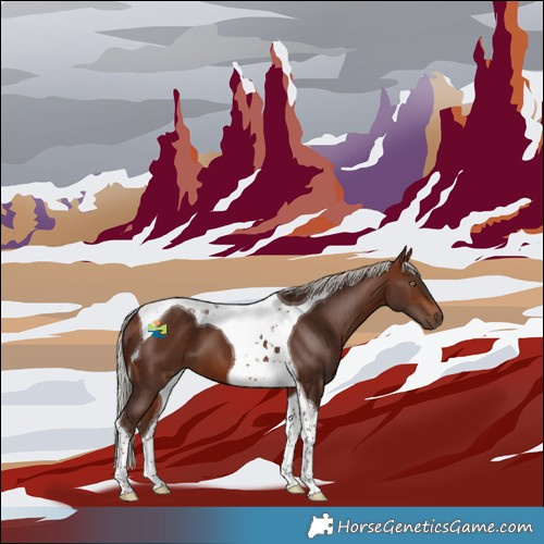 Horse Color:Silver Bay Tobiano