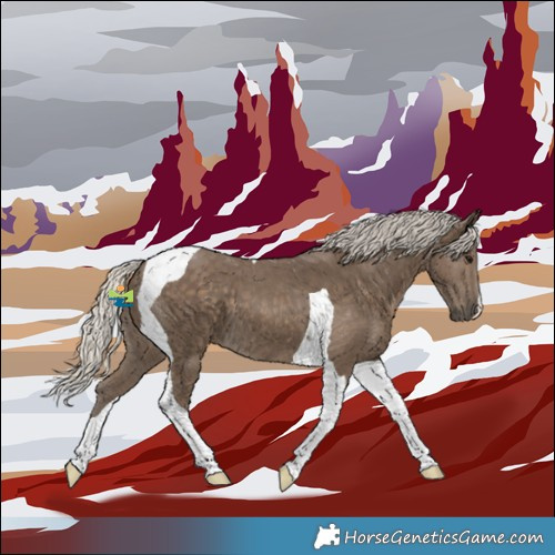Horse Color:Silver Smoky Black Tobiano