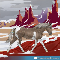 Horse Color:Silver Smoky Black Tobiano