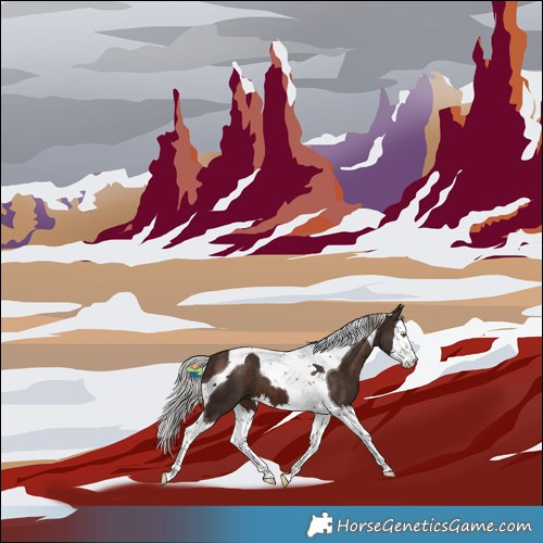 Horse Color:Silver Brown Splash Tobiano