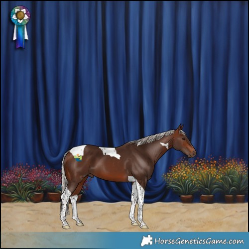 Horse Color:Silver Brown Tobiano