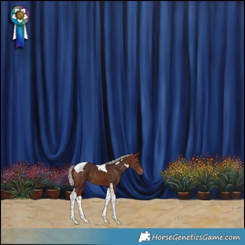 Horse Color:Silver Brown Tobiano 