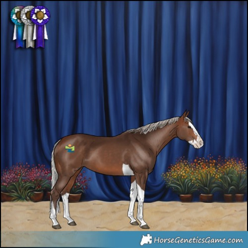 Horse Color:Silver Brown Splash Tobiano