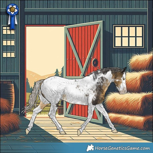 Horse Color:Silver Buckskin Splash Tobiano Near Fewspot