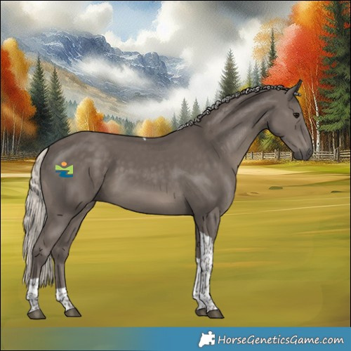 Horse Color:Silver Smoky Black Tobiano 
