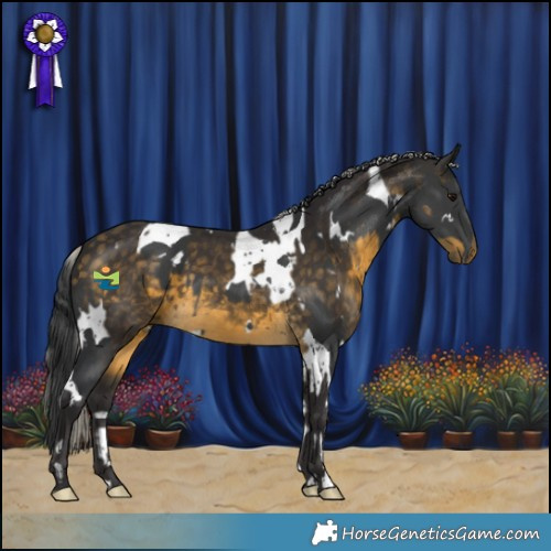 Horse Color:White Spotted Black Tobiano  and Silver Buckskin 