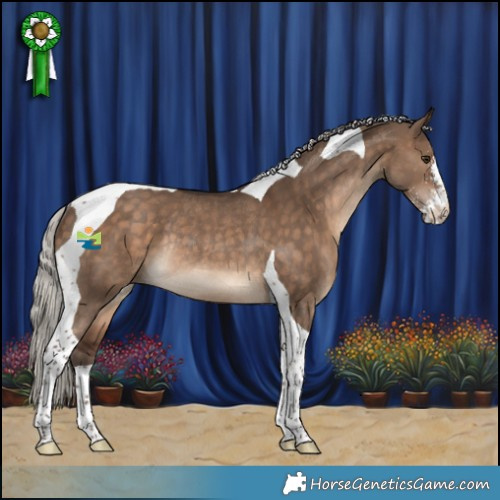 Horse Color:Silver Brown Dun Sabino Tobiano Rabicano