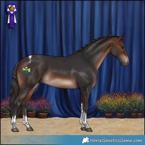 Horse Color:Bay Tobiano 