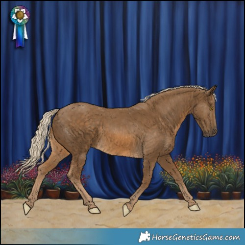 Horse Color:Chocolate Palomino 