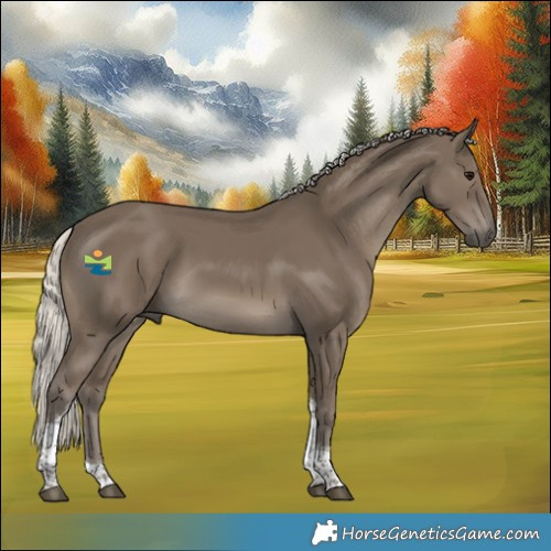 Horse Color:Silver Smoky Black Tobiano 