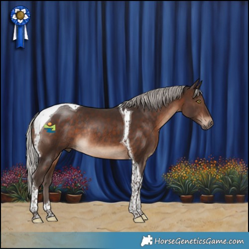 Horse Color:Silver Brown Tobiano Rabicano 