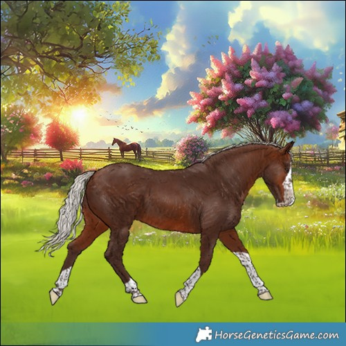 Horse Color:Silver Brown Splash Tobiano Rabicano 