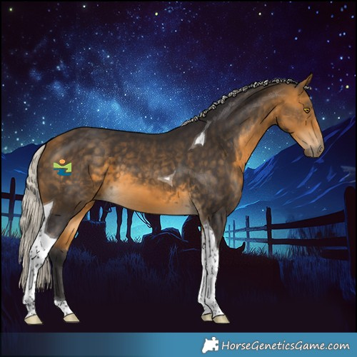 Horse Color:Silver Buckskin Tobiano