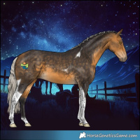 Horse Color:Silver Buckskin Tobiano 