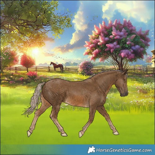 Horse Color:Chocolate Palomino 
