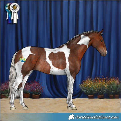 Horse Color:Silver Bay Tobiano Rabicano