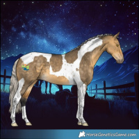 Horse Color:Silver Buckskin Dun Tobiano
