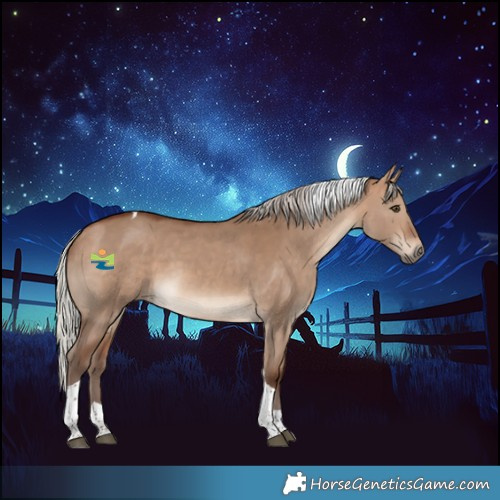 Horse Color:Silver Bay Dun Tobiano 