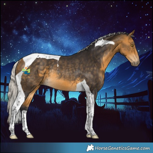Horse Color:Silver Buckskin Tobiano Rabicano