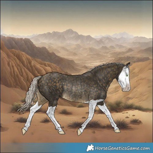Horse Color:Silver Buckskin Splash Rabicano 