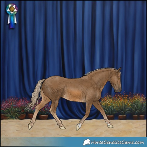 Horse Color:Chocolate Palomino Rabicano 