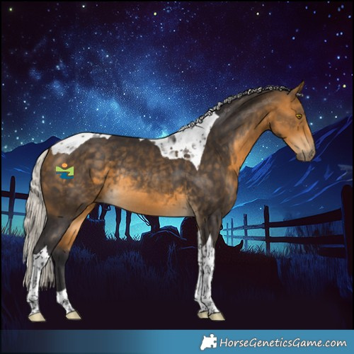 Horse Color:Silver Buckskin Tobiano Rabicano