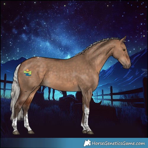Horse Color:Silver Bay Dun Tobiano