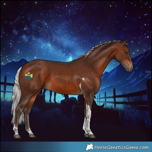 Horse Color:Silver Bay Tobiano 