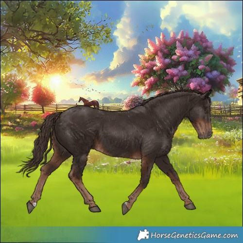 Horse Color:Liver Chestnut 