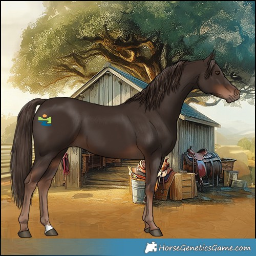 Horse Color:Liver Chestnut